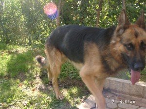 athos